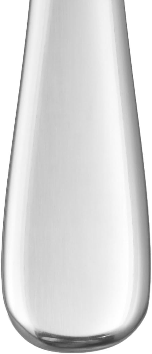 Amazon Basics Stainless Steel Dishwasher Safe Dinner Spoons with Round Edge, Large Tablespoons, 7.9 inches, Pack of 12, Silver