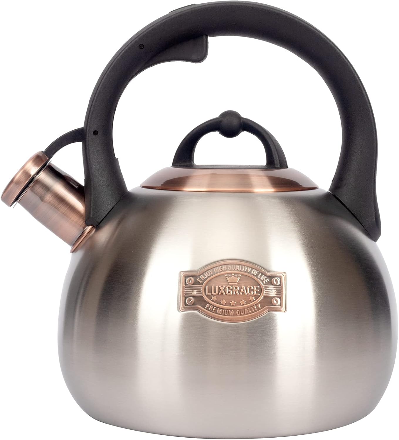 3.1 Quart Teal Whistling Tea Kettle for Stove Top, Food Grade Stainless Steel