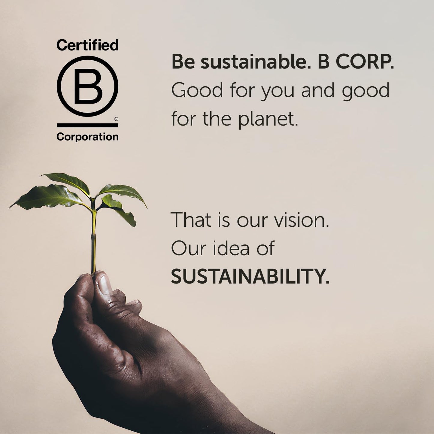 illy Whole Bean Coffee - Perfectly Roasted – Colombia Medium Roast – Smooth Taste, Notes of Fruit – Fruit Notes - 100% Arabica Beans - No Preservatives – 8.8 Ounce