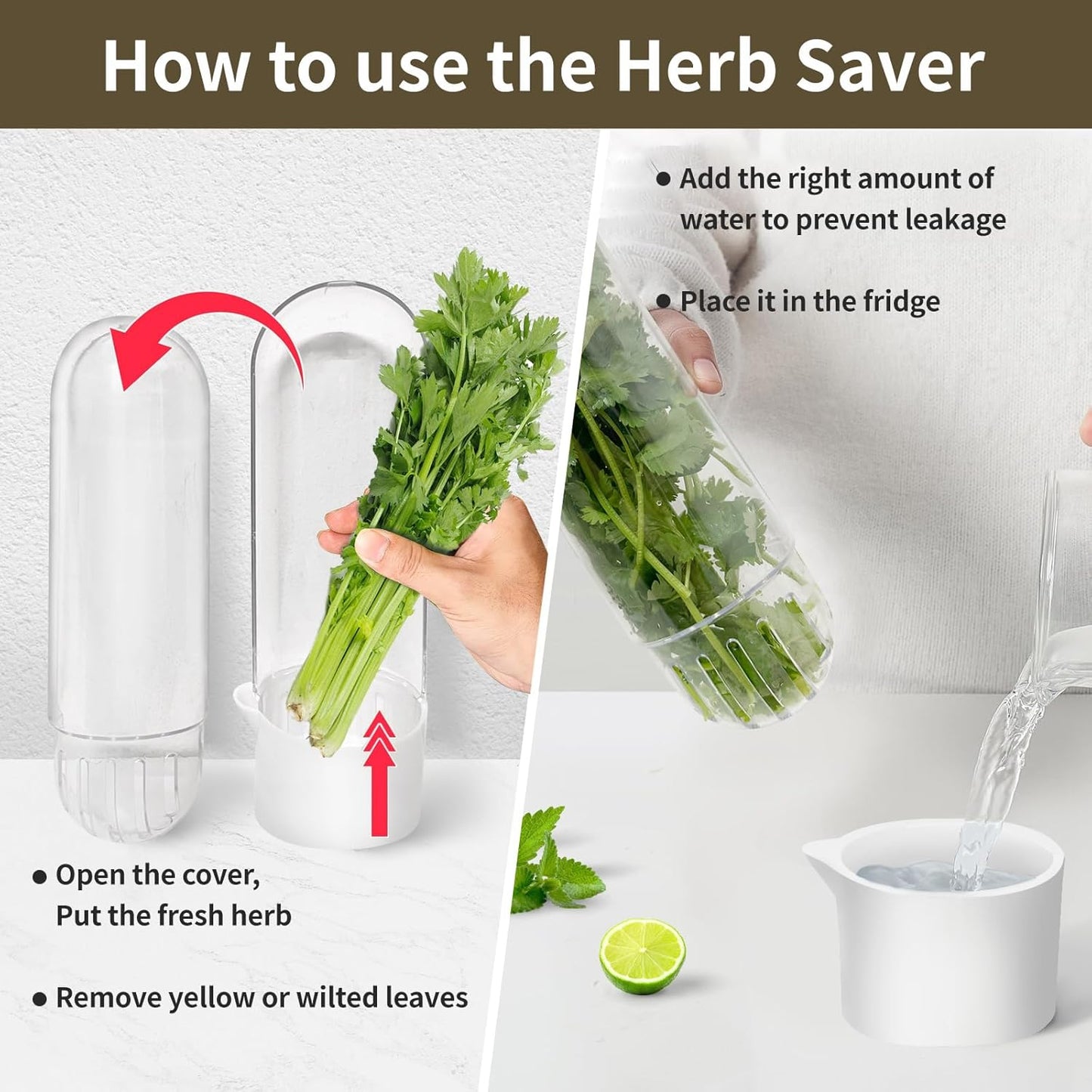 Herb Keeper for Refrigerator, Herb Saver for Refrigerator, Vegetable Preservation Bottle for Cilantro, Mint, Parsley, Asparagus, Keeps Greens Fresh for 2-3 Weeks (1PCS)