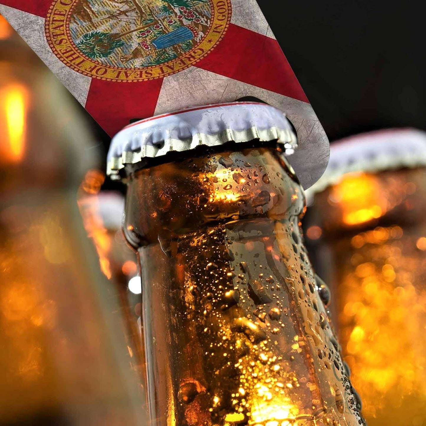 Florida State Flag Stainless Steel Bottle Opener Dirty Florida 3D Waving Flag Flat Beer Bottle Opener Keychain for Home Kitchen Bar Restaurant Party Birthday Gift