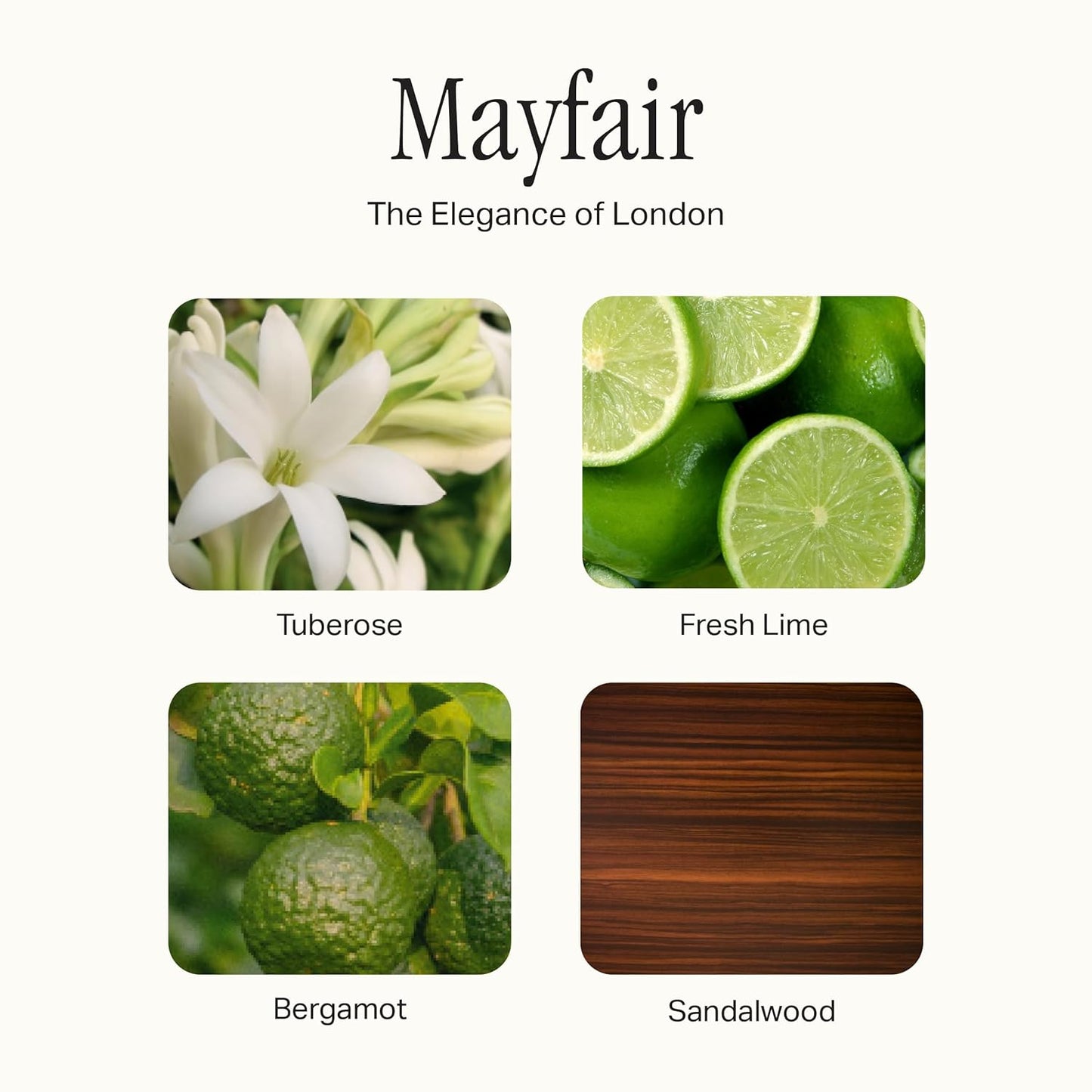 Kitchen Set, Hand Wash, Dish Soap & All Purpose Cleaner, Cleaning Essentials Bundle