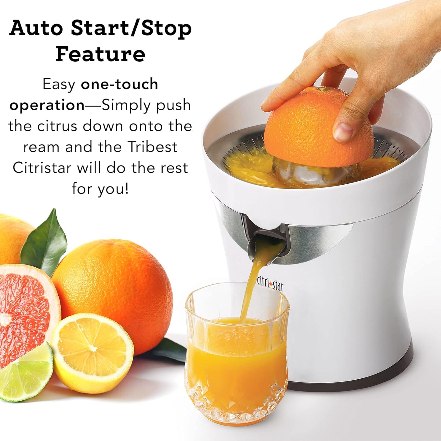 Tribest CitriStar CS-1000 Electric Citrus Juicer with Stainless Steel Strainer and Spout (White)